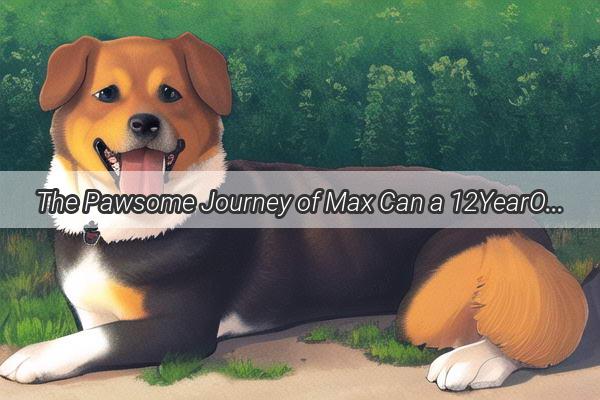 The Pawsome Journey of Max Can a 12YearOld Dog Remember the Way Home